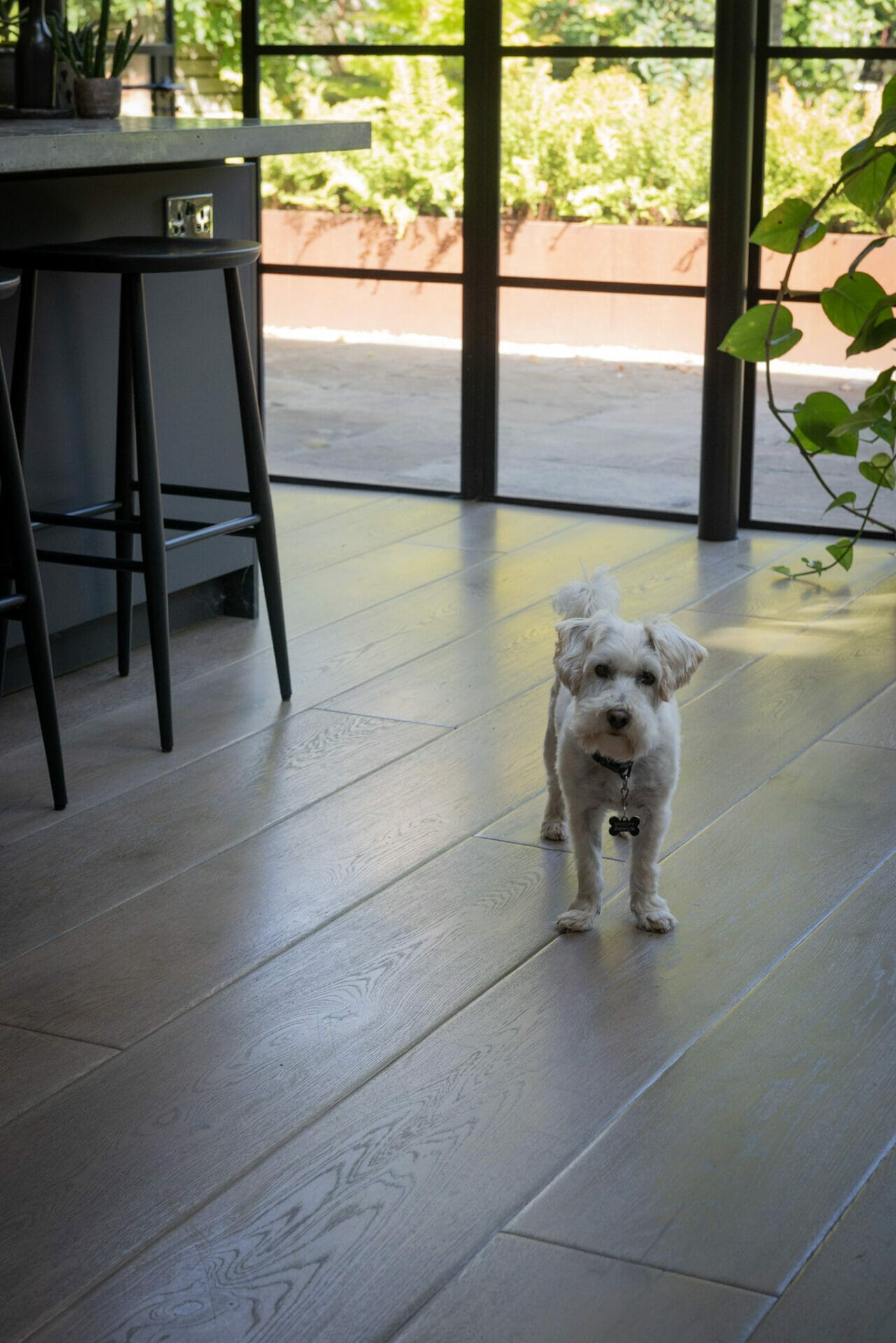 Brasilia Oak Planks Brasilia Oak Planks