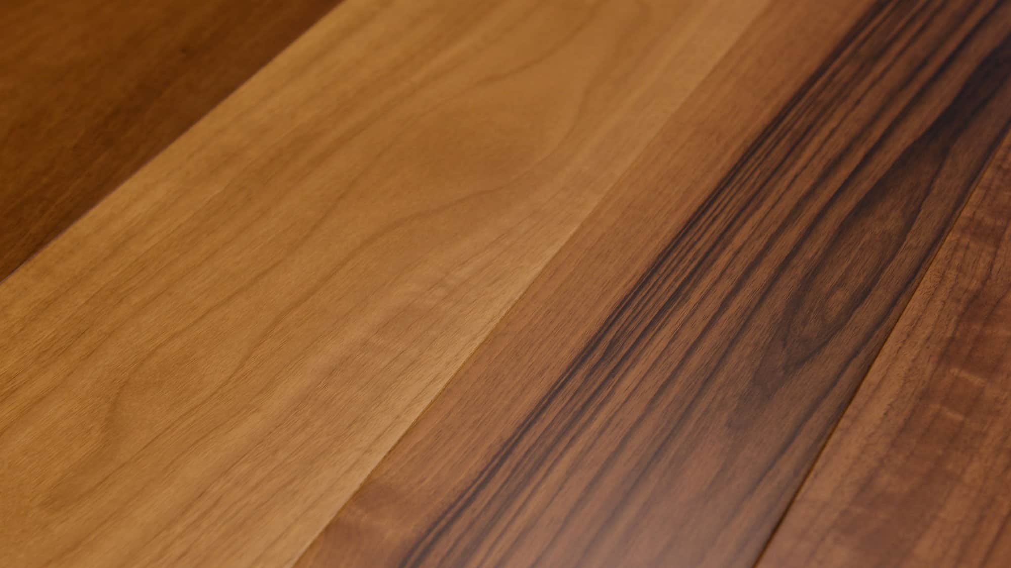 American-Walnut-giant