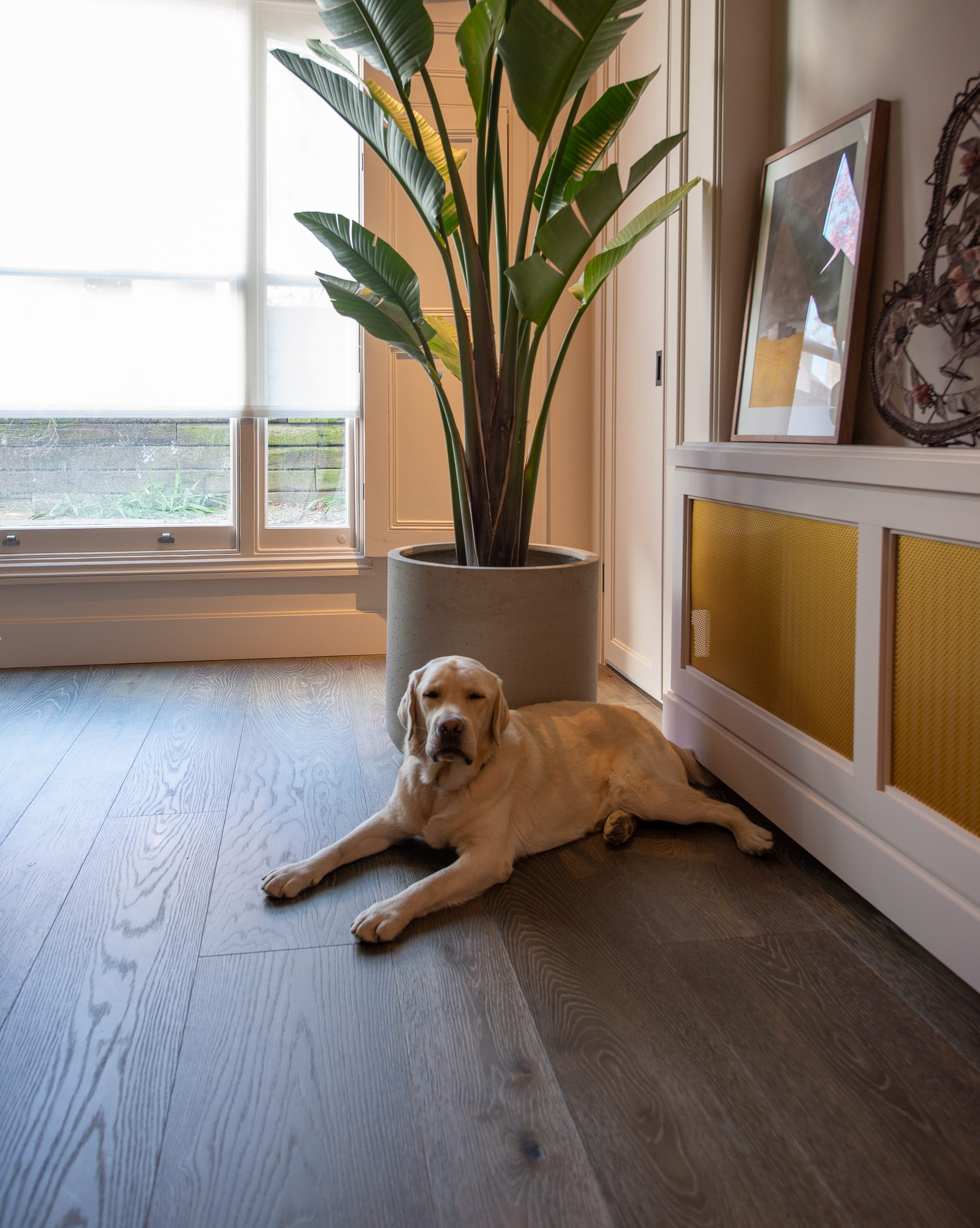 Cuba Oak Dark Wood Flooring