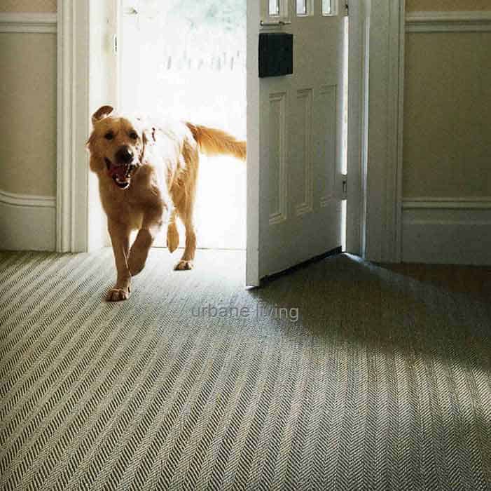 Seagrass Fine carpet maintenance Herringbone in Doorway