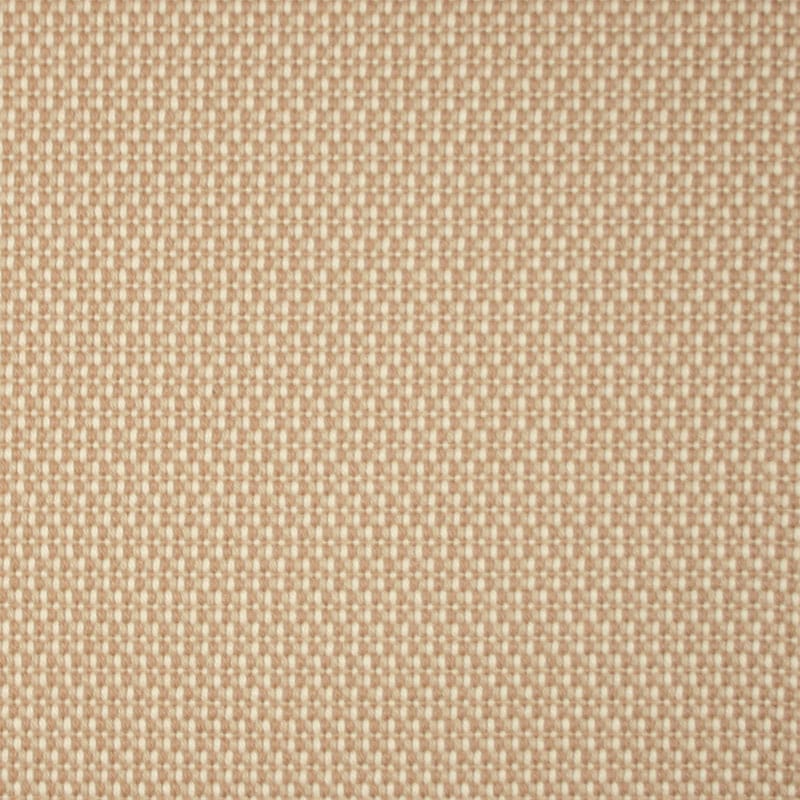 Tamar-8-Cropped-Tavi