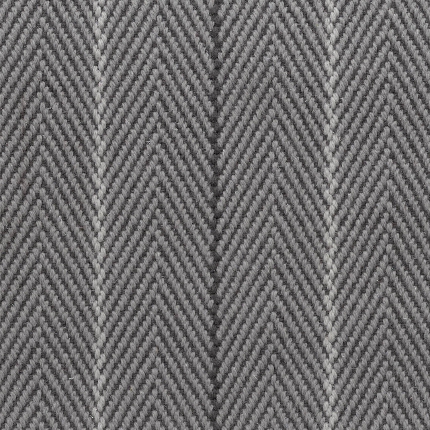 Dart Ground Pigeon View