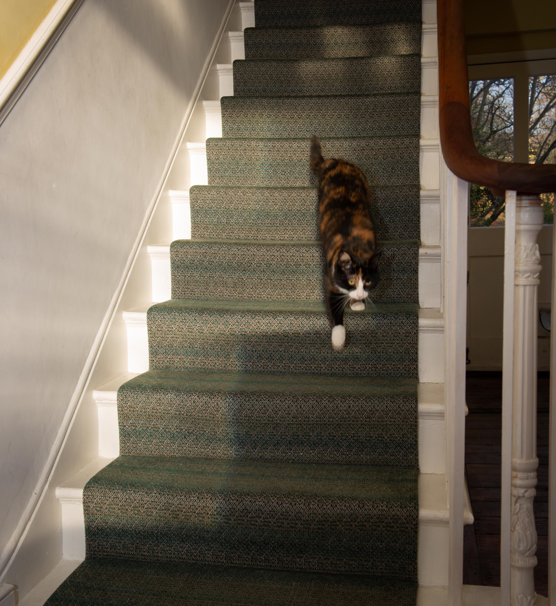 JACKIES - GIORGIO 8967